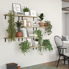 DOLLFIO Floating Shelves, 8 Sets Wall Shelves, Wood Floating Shelves - Image 4