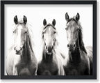 Poster Master Horse Poster by PosterMaster