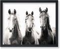 Poster Master Horse Poster by PosterMaster