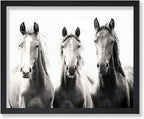 Poster Master Horse Poster by PosterMaster