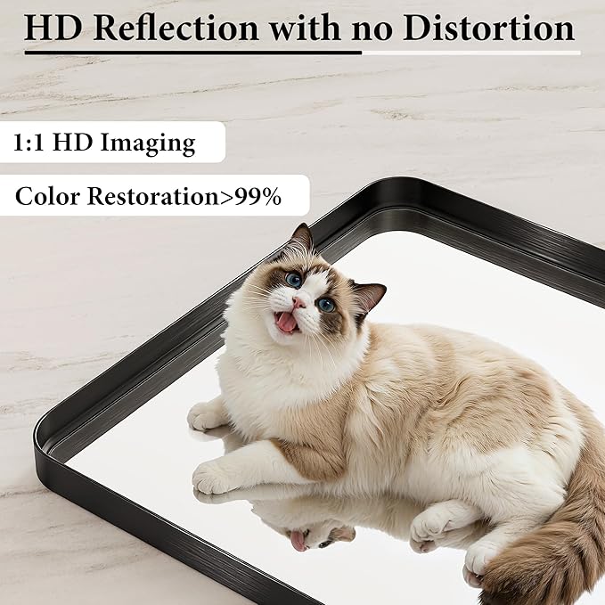 Black Metal Vanity Rounded Rectangle Bathroom Mirrors - Image 2