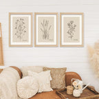 YWJKWLGS Vintage Botanical Wall Art 11x16 Inch Set of 3 Wooded Framed - Image 6