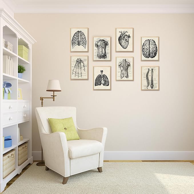 Ohhvvow Human Anatomy Artwork Medical Wall Art Canvas, 8 * 10 Inch Muscle - Image 5