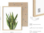 HAUS AND HUES Plant Photo Set of 4-16x20 Framed Beige - Image 3
