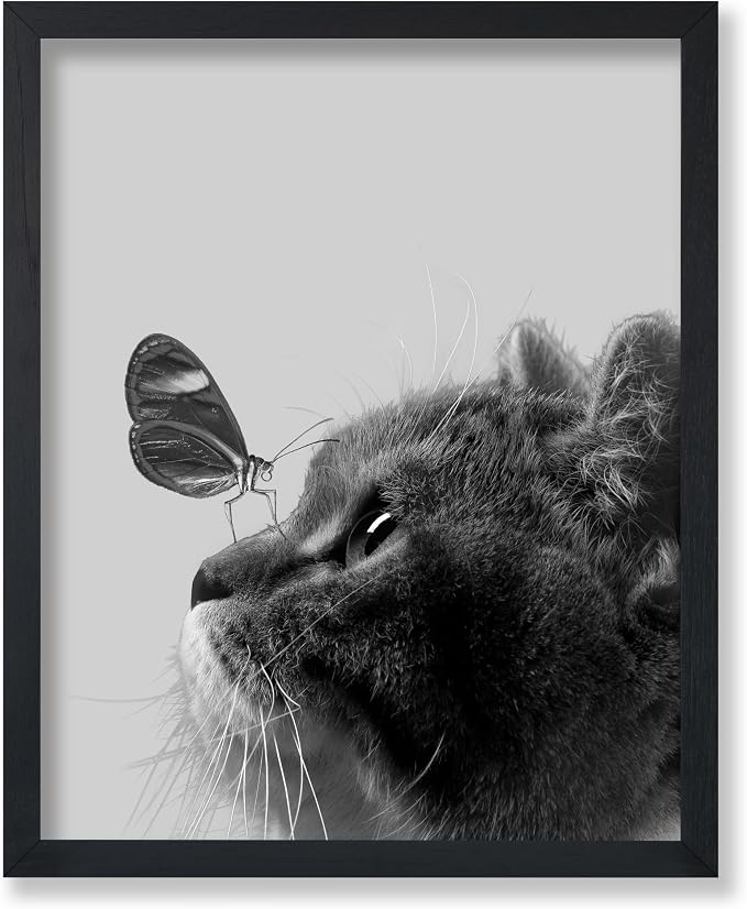Poster Master Butterfly on Cat Poster by PosterMaster