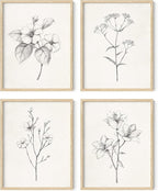 HAUS AND HUES Grey Floral Wall Art by HausandHuesArtPrints