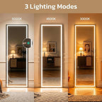 64"x21" Full Length Mirror - Image 3