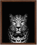 Poster Master Vintage Photograph Poster by PosterMaster