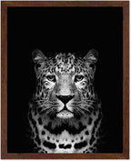 Poster Master Vintage Photograph Poster by PosterMaster