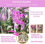 ShopLaLa Wall Planter - Image 3