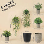 5 pcack Fake Hanging Plants for Wall Home Room Office, Small Fake Plants Decor - Image 3
