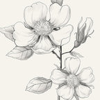 Framed Black and White Floral Wall Art, 4 Piece Vintage Gray Botanical Canvas - Image 5