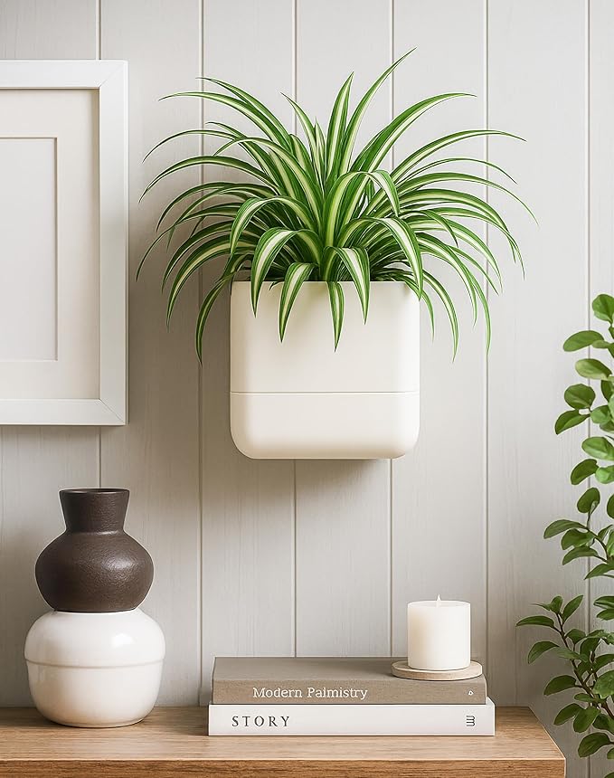 Phoenix Vine 6.5 Inch Wall Mounted Self-Watering Planter Pots - Image 7
