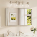 TETOTE Brushed Nickel Bathroom Mirror 40 x 24 Inch by TETOTE