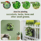 Wall-Mounted Vertical Garden Planter – Ready-to-Use Indoor Wall Planter - Image 3