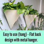 LaLaGreen Wall Planters for Indoor Plants - Image 6