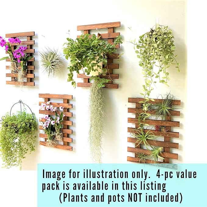 ShopLaLa Wall Planter – Wooden Air Plant Succulent Holder Hanger Indoor Outdoor - Image 7