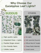 suddus Vines with Lights Battery Operated, 33ft 100 LED Eucalyptus Garland - Image 4