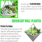 LaLaGreen Wall Planters - Image 6