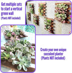 ShopLaLa Wall Planter - Image 5