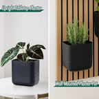 Phoenix Vine 6.5 Inch Wall Mounted Self-Watering Planter Pot - Image 2