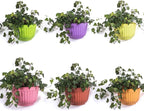 6 Pcs Colorful Resin Wall Hanging Planter Pot Vertical Garden Living Wall Mount - Image 7
