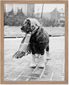 Poster Master Vintage Dog Dressed by PosterMaster