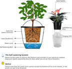 3 Pack Self Watering Wall Hanging Planter Pots Vertical Garden Window Hang - Image 8