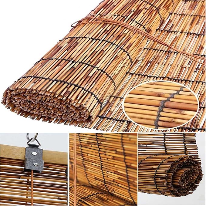 Outdoor Roller Shades for Patio - Image 4
