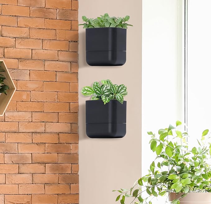Phoenix Vine 6.5 Inch Wall Mounted Self-Watering Planter Pot - Image 8