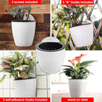 3 Pack Self Watering Wall Hanging Planter Pots Vertical Garden Window Hang - Image 9