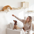 FUKUMARU Cat Wall Shelves, Stable & Safe 5 in 1 Cat Walls Furniture Set - Image 4