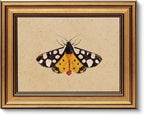 VIYYIEA Vintage Gold Framed Wall Art by VIYYIEAART