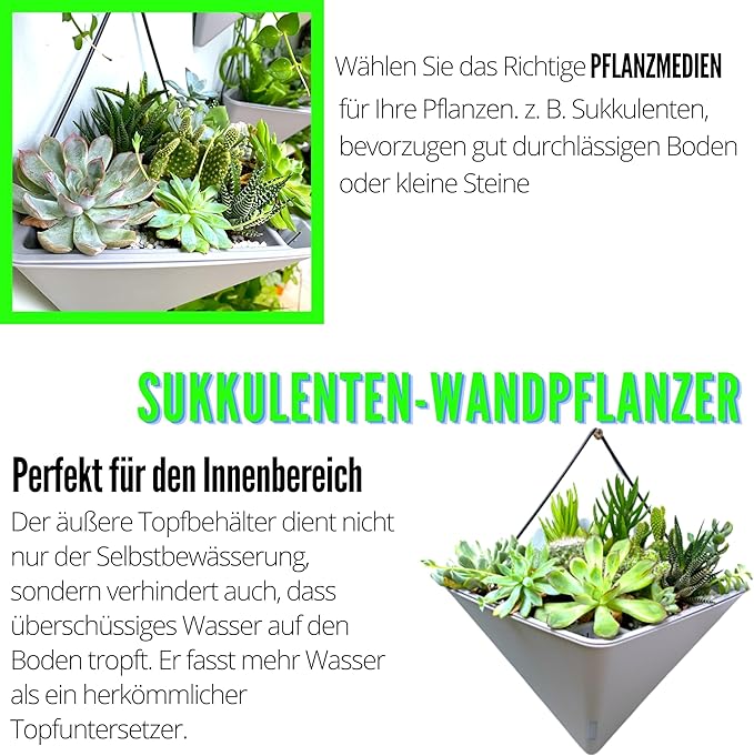 LaLaGreen Wall Planters for Indoor Plants - Image 5