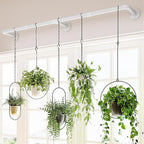 Bamworld Window Plant Hanger Indoor 63in Hanging Planters by Bamworld