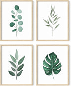 HAUS AND HUES Plant Wall Art by HausandHuesArtPrints