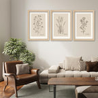 YWJKWLGS Vintage Botanical Wall Art 11x16 Inch Set of 3 Wooded Framed - Image 4