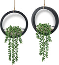 Der Rose 2 Pack Fake Plants Hanging Artificial Succulents Plants in Black Pots by DerRose