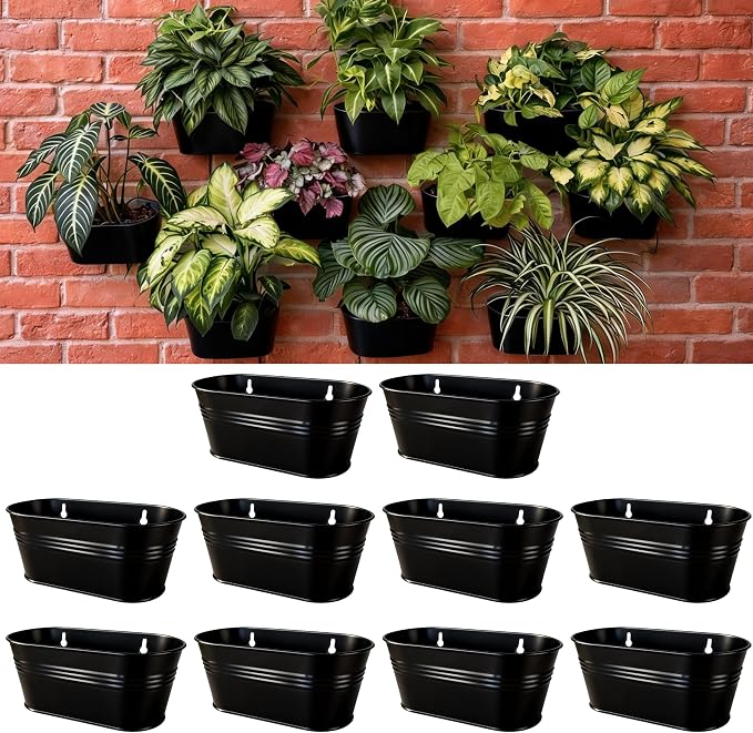 LaLaGreen Wall Planter Black Oval Metal Hanging Decor Plant Holder Wall Planters by L%C3%A1L%C3%A1Green
