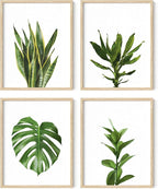 HAUS AND HUES Plant Wall Art by HausandHuesArtPrints