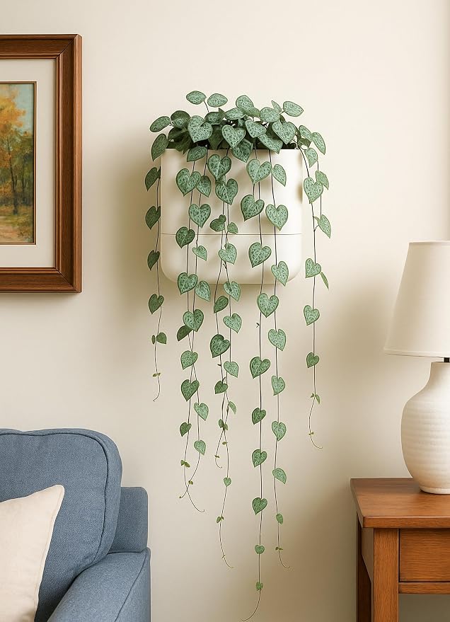 Phoenix Vine 6.5 Inch Wall Mounted Self-Watering Planter Pot - Image 6