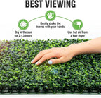 KASZOO 12 Pack 20"x20" Grass Wall Panels - Image 5