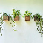 LaLaGreen Wood Planter Boxes Small Square Wooden Wall Mounted Flower Pot by L%C3%A1L%C3%A1Green