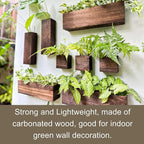 LaLaGreen Wood Planter Box for Plants Wooden Wall Hanging Planters for Indoor - Image 4