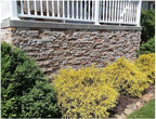 AirStone Primary Stones: Autumn Mountain Creek Color Blend, Manufactured Stone - Image 4