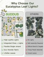 suddus Vines with Lights Plug in, 33ft 100 LED Eucalyptus Garland String Light - Image 5