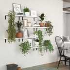 DOLLFIO Floating Shelves, 8 Sets Wall Shelves, Wooden Floating Shelves - Image 4