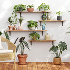 DINZI LVJ Long Wall Shelves, 55.1Inch Wall Mounted Shelves Set of 2, Extra - Image 2