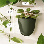 Make Good PlantPod Luxe Self-Watering Wall Planters - Image 2