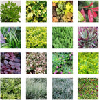 36 Pockets Living Wall Planter Indoor, Self Watering Wall Hanging Planters - Image 9